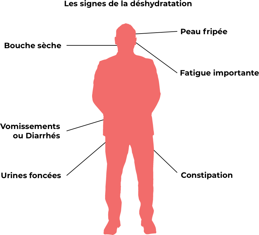 Schéma lutte contre la déshydratation