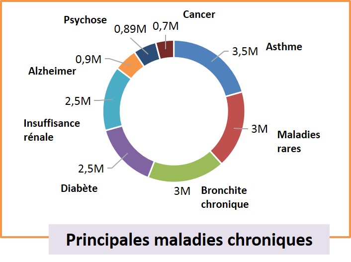 maladie chronique maladie chronique
