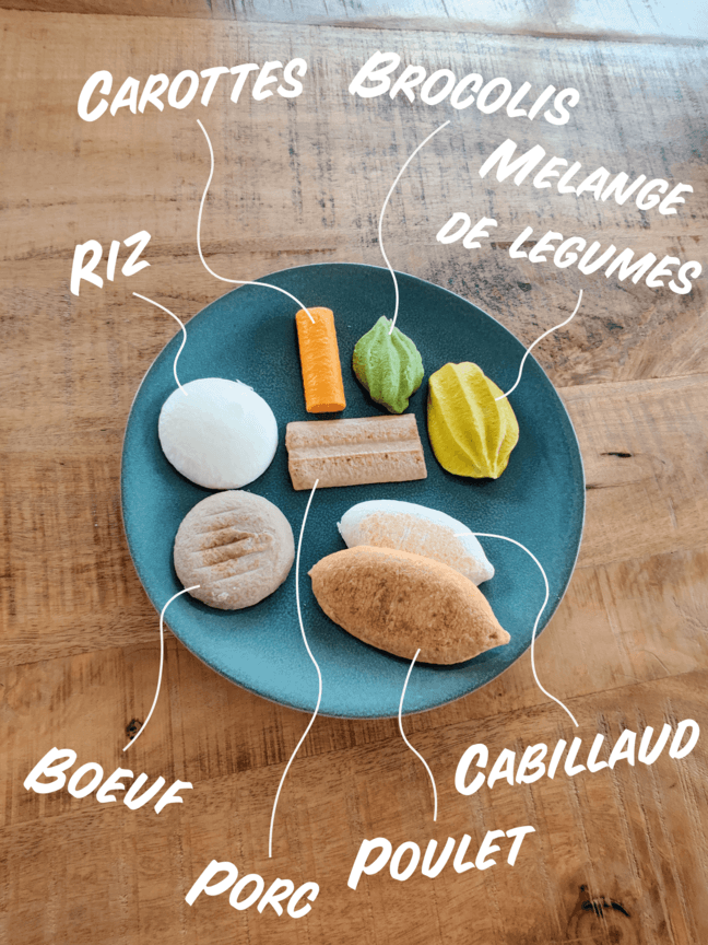 5 moules pour texture modifiée - Boutique Nutrisens