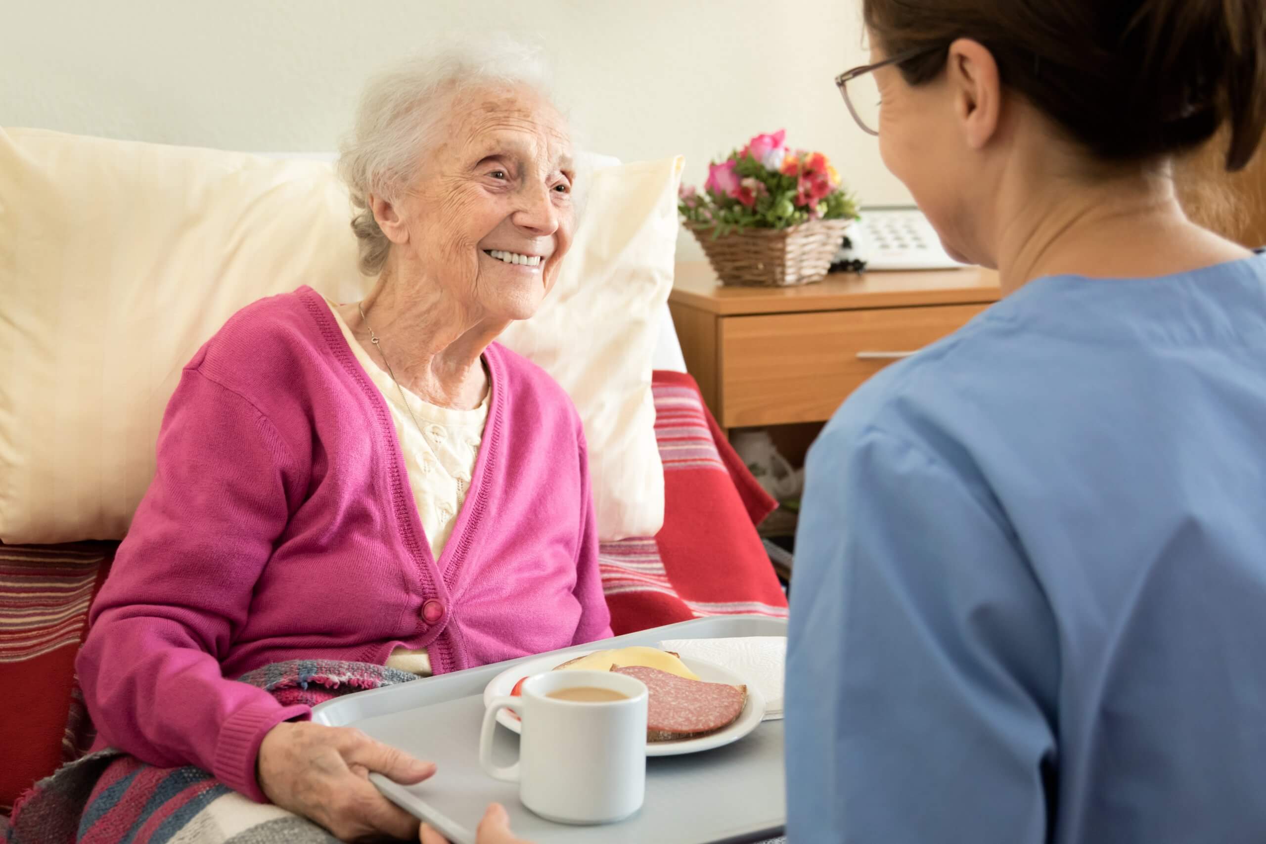 Alimentation des seniors : revue critique de l’offre de formations destinées aux professionnels