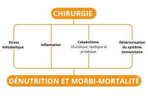 Prise en charge Chirurgie carcinologique, immunonutrition